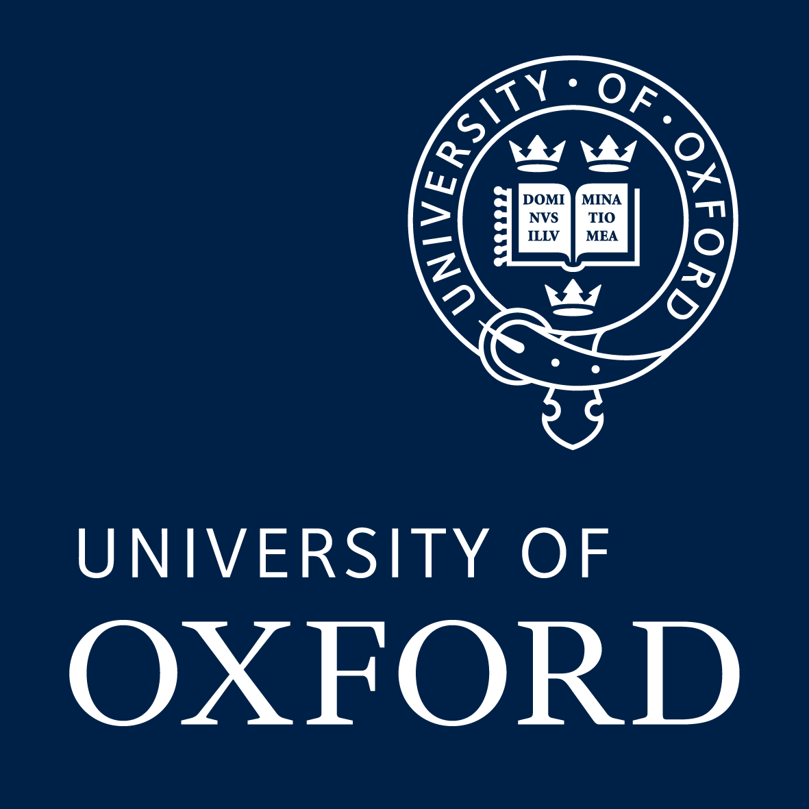 Advise Advice LLM Masters Oxford University