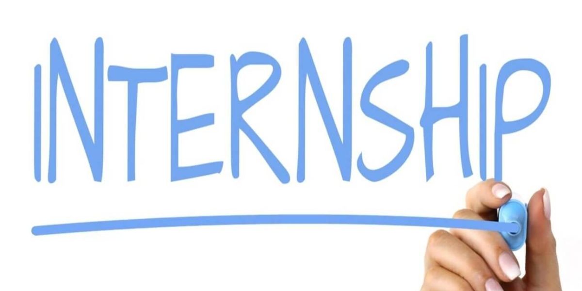 The Role of Legal Internships and Practical Experience in LLM Programs Legal Internships