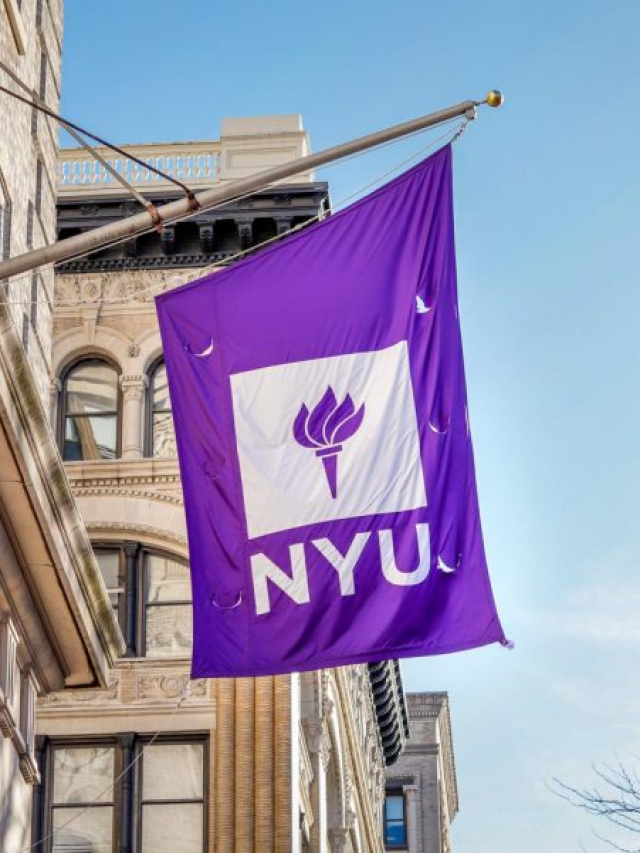 Top Universities For Studying Environment Law