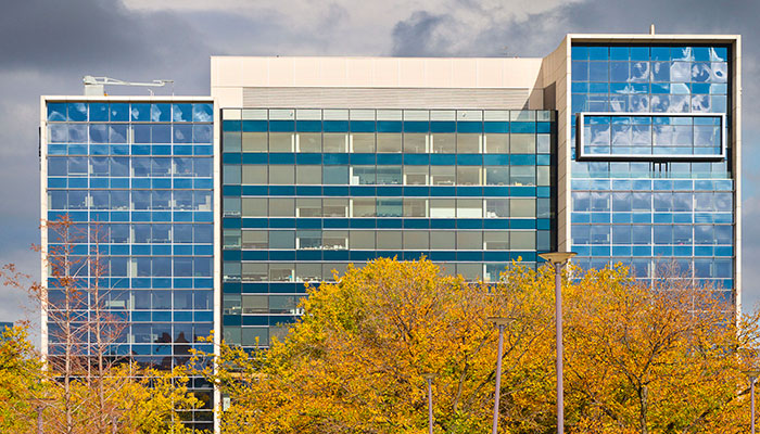 Top Law Universities in Australia for Aspiring Lawyers image 154