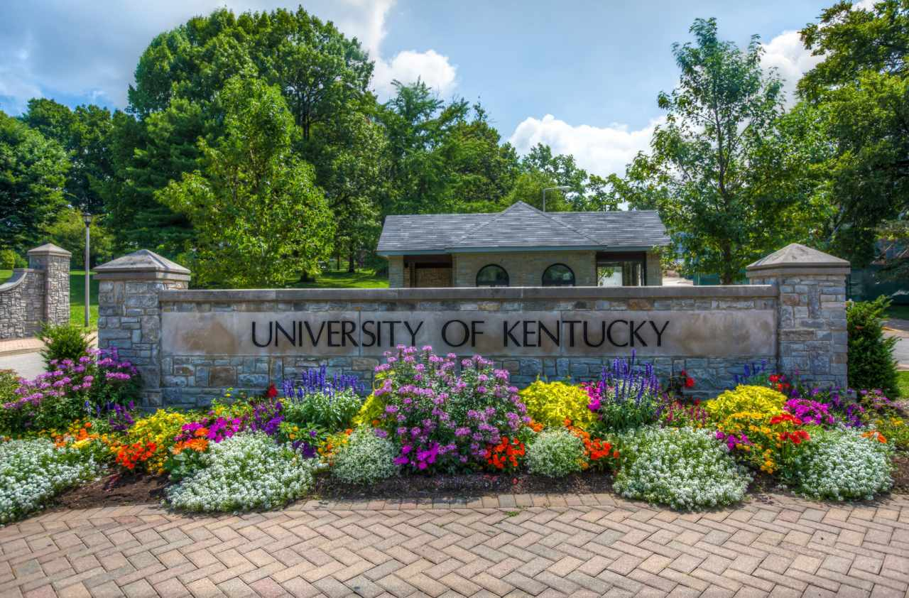 Apply for the Prestigious Gaines Fellowship at UK Gaines Fellowship 2025