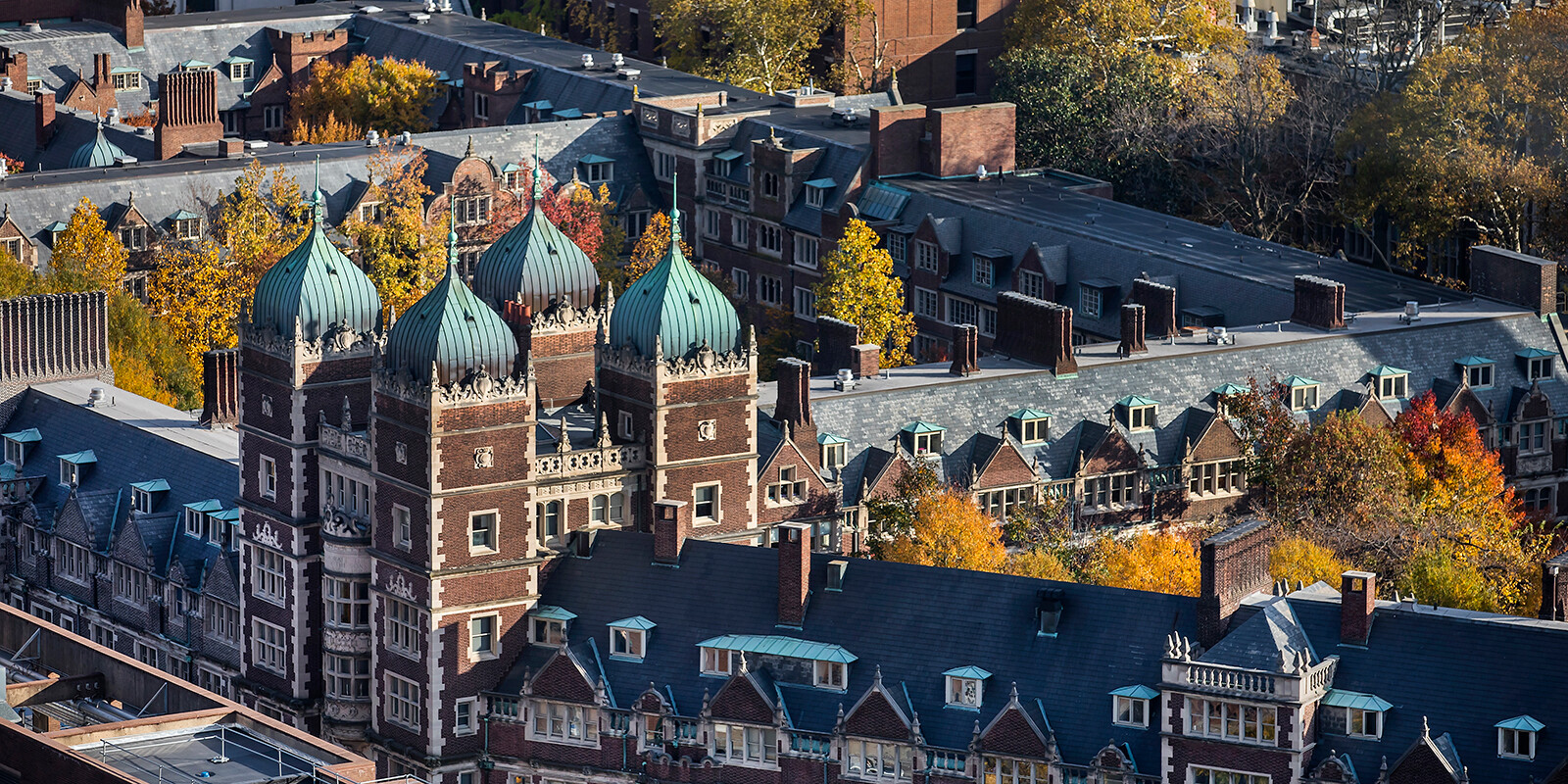 What Are Ivy League Schools? A Deep Dive into America’s Elite Institutions image 76